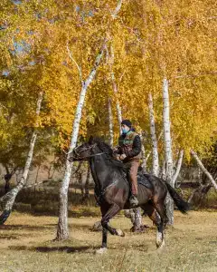 Балкарагай - 39