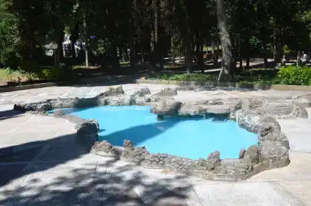 Алуштинский - 5