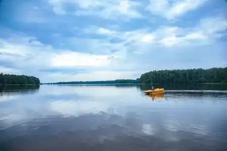 Лосвидо - 12