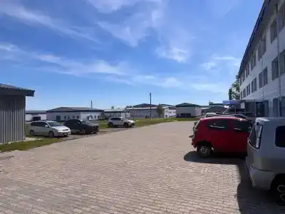 Новый лес - 4