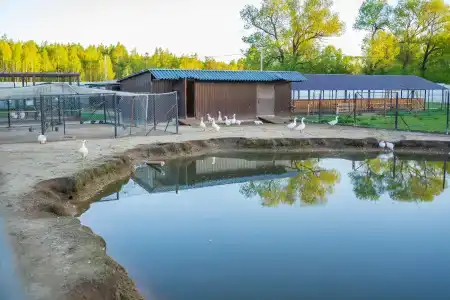 Место 7 - 41