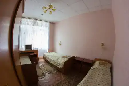 Сосны - 28