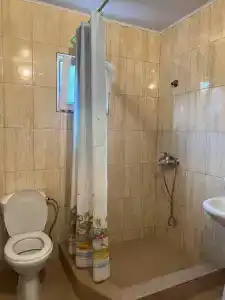 Виолетта - 57