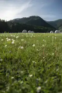 Koksa Camp - 14