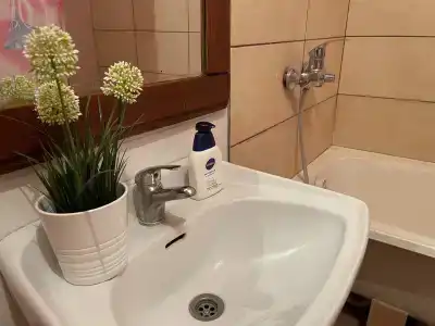 Фирст - 6
