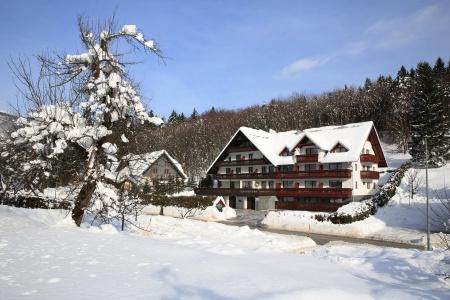Gasperin Bohinj - 0