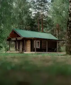Дзик - 0