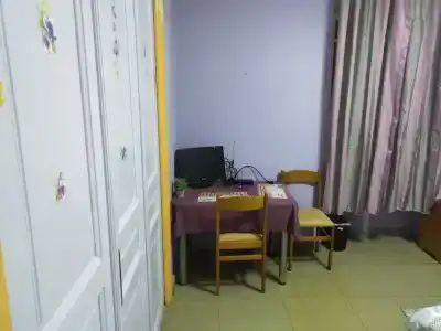 pinguino - 2