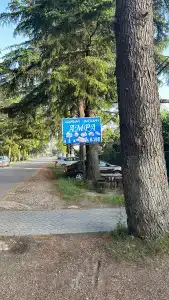 Нора - 10
