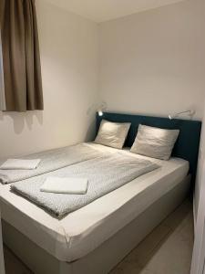 Villa Oliver 1 Hévíz - 85