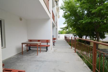 Пчела - 9