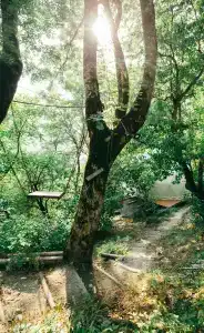 Wine Space - 1