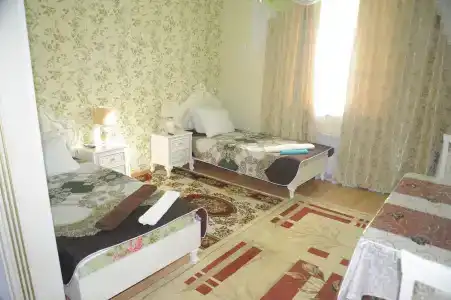 Багира Голден - 21