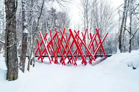 Клевер - 3