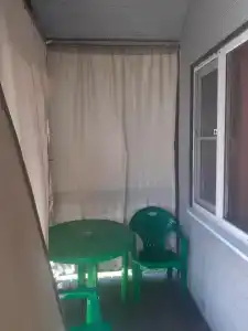 Пальма - 13