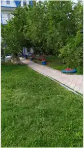 Вирджиния - 5