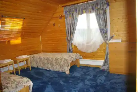Медведица - 29