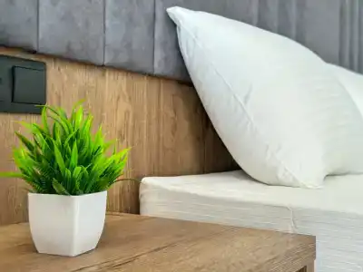 Eco Life - 62