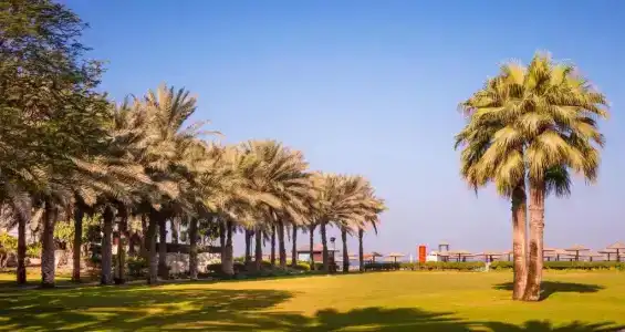 Coral Beach Resort Sharjah - 19