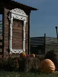 Белый сад - 14