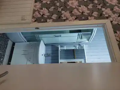 Лилия - 20