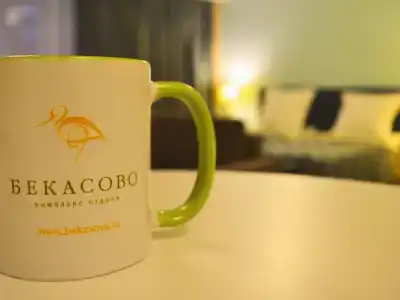 Бекасово - 40