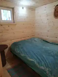 Байкальский кедр - 3