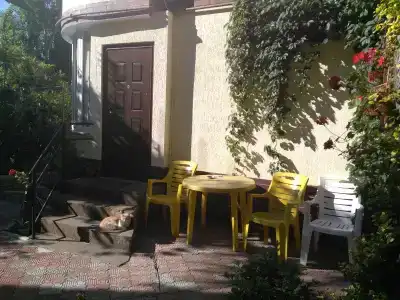 Манго - 3