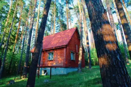 Ателика Улиткино - 170