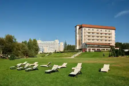 Медикал Спа Резорт Альфа Радон - 18
