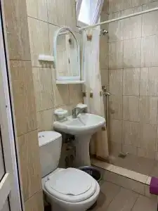 Виолетта - 41
