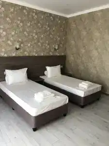 Слон - 14