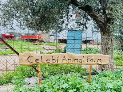 Celebi Garden - Sustainable Tourism Pet Friendly - 1