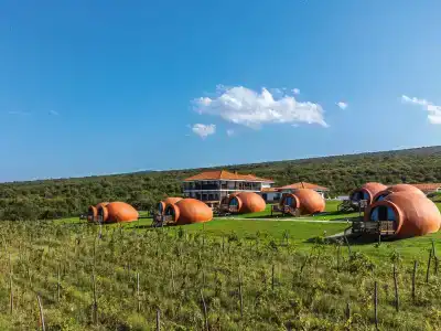Qvevrebi - 1