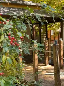 Chalet Monte - 6