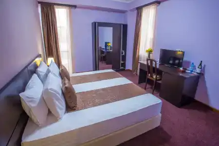 Ani Central Inn - 14