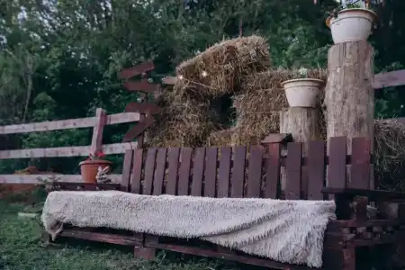 Глемпинг Фазенда - 4