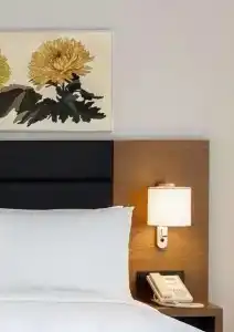 Hilton Garden Inn Tbilisi Chavchavadze - 22