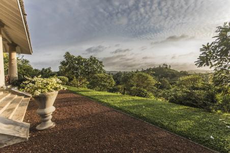 Mayurana by Edwards Collection - 95