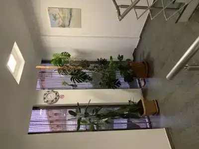 Green house in gonio - 12