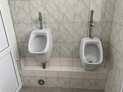 Соты - 11