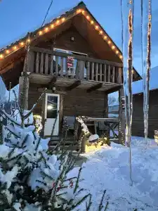 Три медведя - 3
