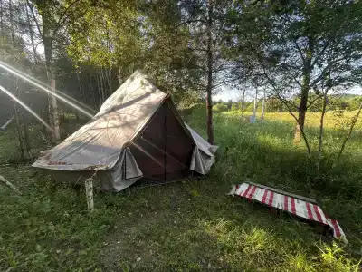 Звездный лес - 102