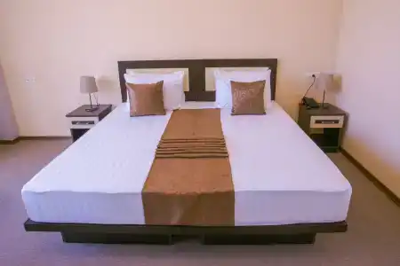 Ani Central Inn - 40