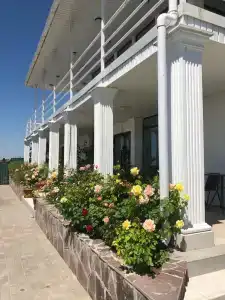 La Dolce Vita - 6