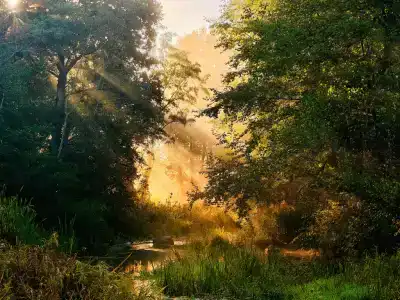 Родные просторы - 16