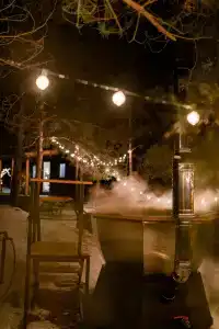 Место под соснами - 6