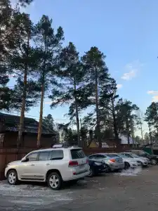 Подснежник - 42