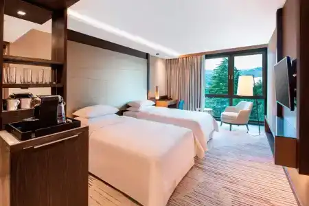 Sheraton Grand Tbilisi Metechi Palace - 27