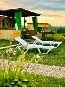 Дикая земля - 2